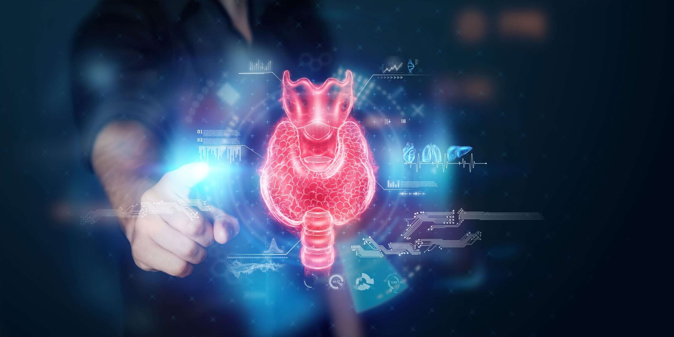 Illustration einer Schilddrüse in Rot mit technologischen Elementen im Hintergrund, thematisiert im Artikel über mögliche Ursachen von Hashimoto und Schilddrüsenunterfunktion auf healthmonkeys.de.