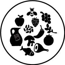 Verschiedene Lebensmittel: Apfel, Trauben, Erdbeere, Chili, Pilze, Olivenölkanne, Fisch, Schinken, Nüsse und Granatapfel, um symbolisch die Ernährung darzustellen.