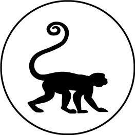 Ein Affe auf vier Beinen, der die Company Healthmonkeys und dessen Ansatz für einen gesunden Lebensstil repräsentiert.