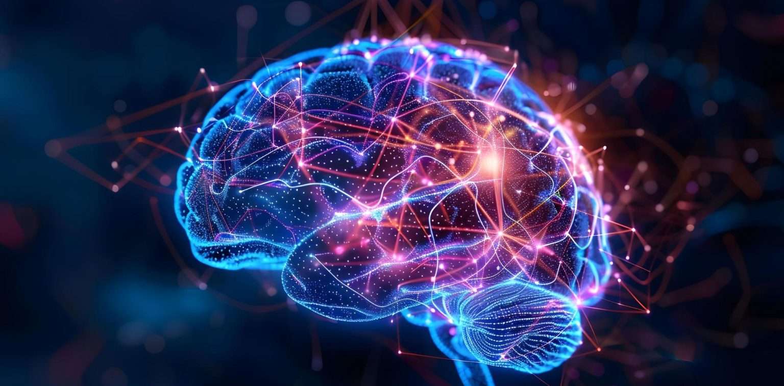 Ein futuristisch dargestelltes Gehirn aus Lichtelementen in blau und rot, symbolisch für die Individualität eines Charakters, den wir in unserem Coaching viel Aufmerksamkeit widmen.