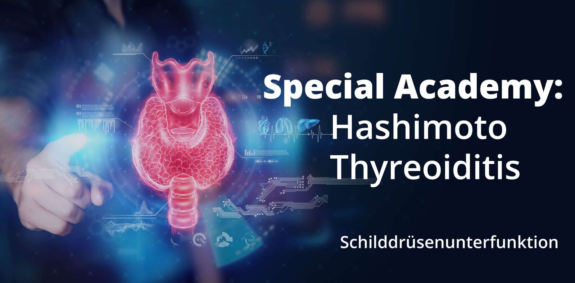 Männerhand, die auf eine grafische Schilddrüse zeigt, symbolisch für den Special Onlinekurs: Hashimoto Thyreoiditis.