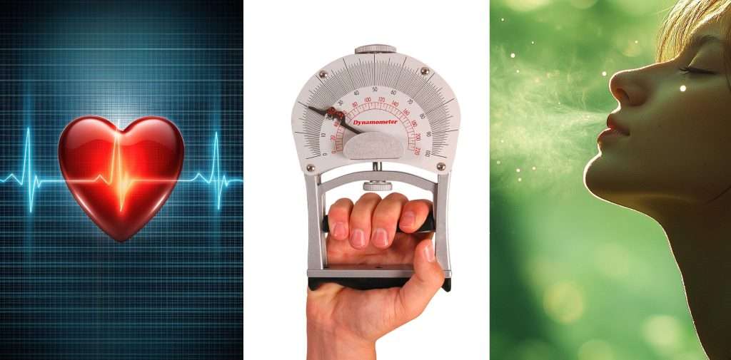 Herzfrequenz, Griffkraftmessung und kontrolliertes Ausatmen als Methoden zur Bestimmung der Trainingsbereitschaft.